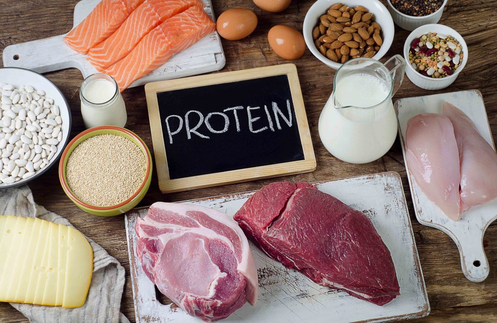 Protein là chất dinh dưỡng nhiều năng lượng