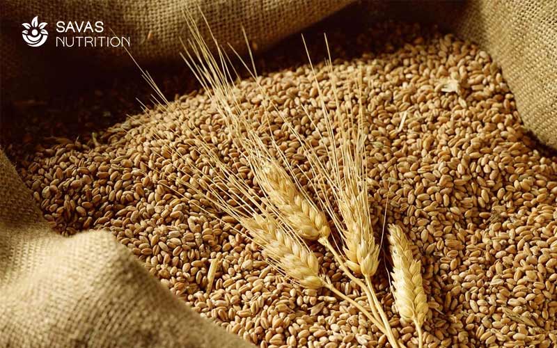Các cách trồng cỏ lúa mì đơn giản tại nhà
