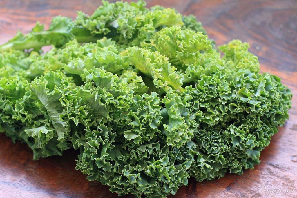 công thức nước ép cải kale