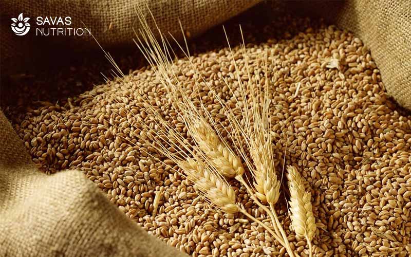 Phân biệt lúa mì và lúa mạch có khác nhau không về dinh dưỡng