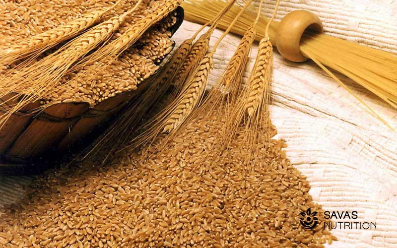 Vai trò cho sức khỏe của lúa mì và lúa mạch có khác nhau không?